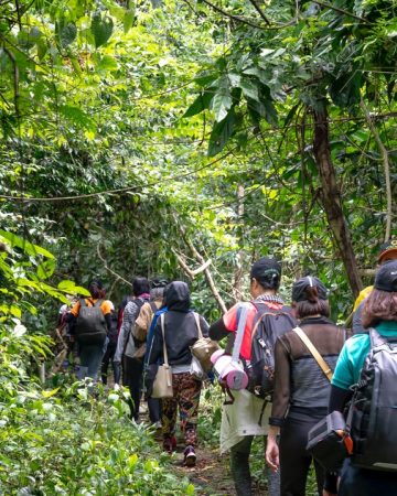 Trekking & Hiking